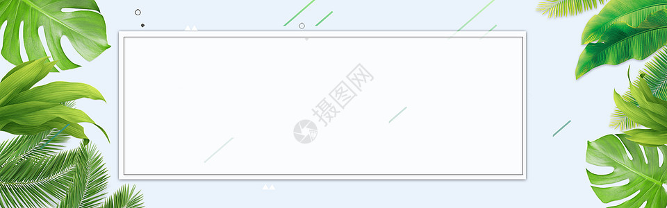 绿叶背景图片