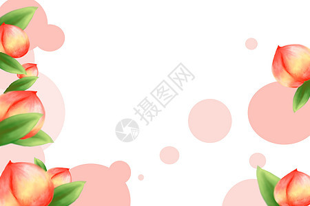 新鲜水果桃子插画背景图片