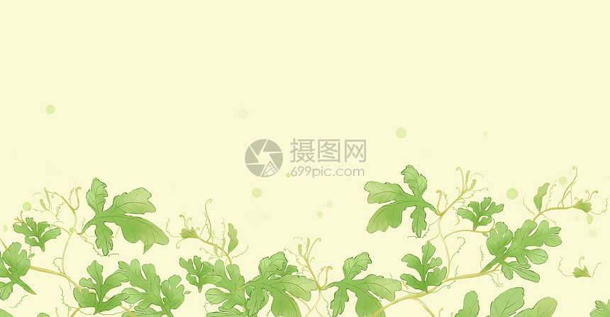 清新植物西瓜藤叶插画图片