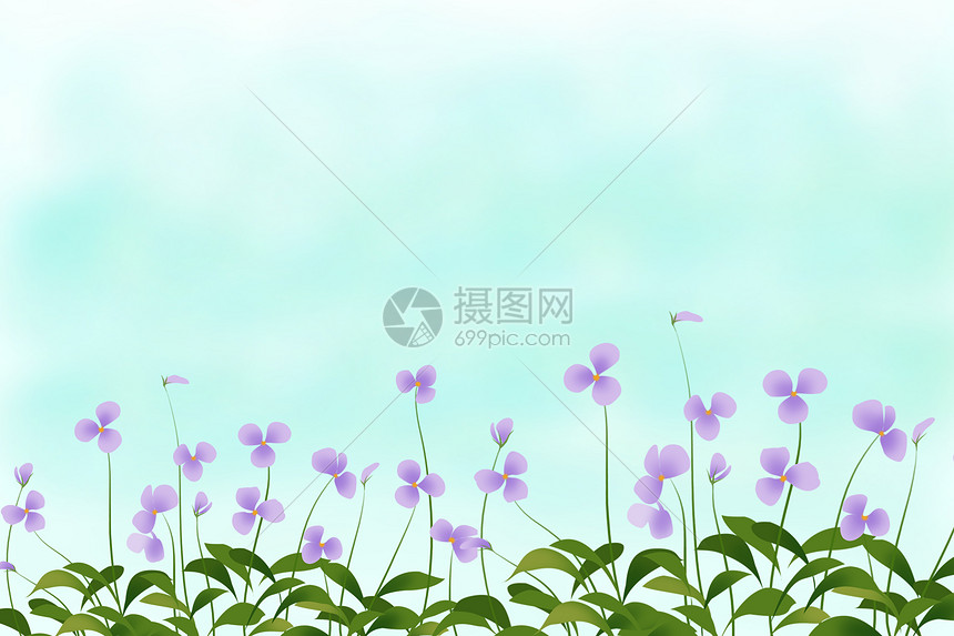 桑格花背景素材图片