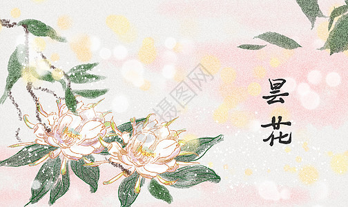 古风昙花水墨插画背景图片