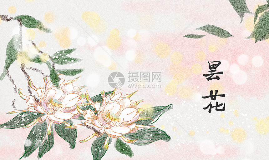 古风昙花水墨插画图片