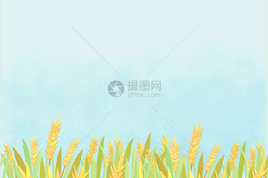 稻谷背景素材