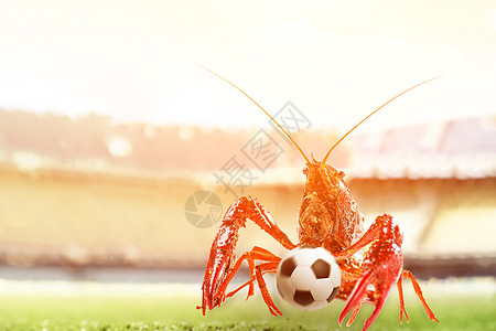 小龙虾的世界杯高清图片