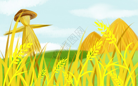 稻田中的稻草人背景图片