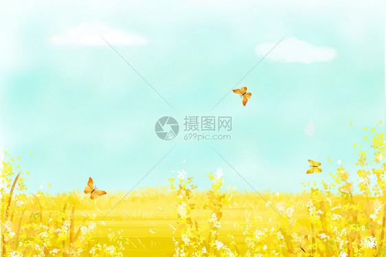 油菜花蝴蝶蜜蜂