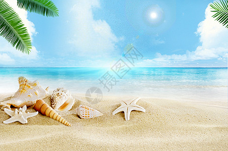海星夏日沙滩背景设计图片