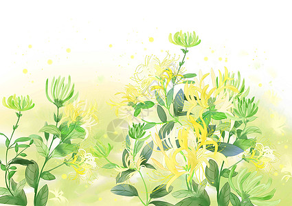 金银花草本植物忍冬高清图片