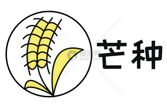 芒种简约图形插画