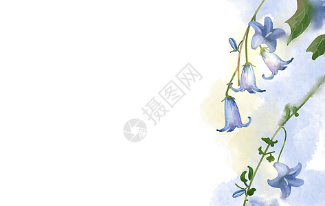 蓝色小花背景图片
