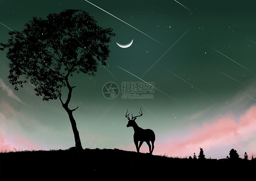 夜幕下的鹿图片