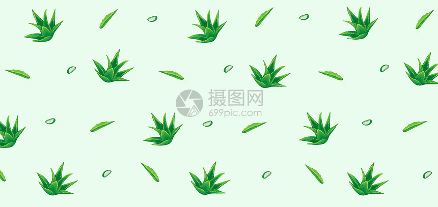 芦荟图片