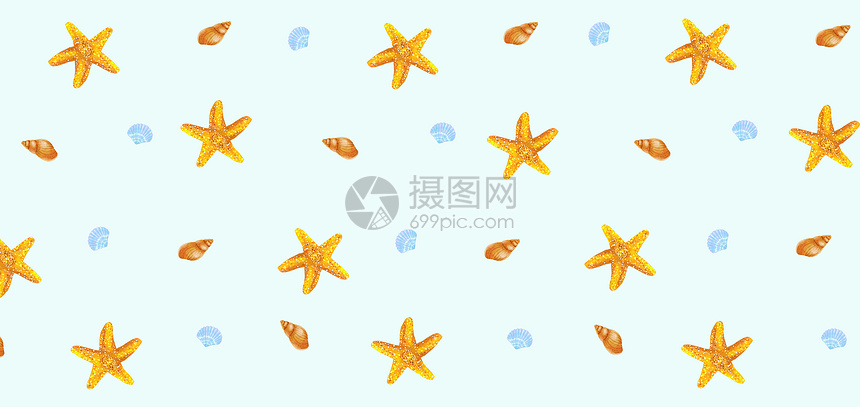 海星贝壳图片