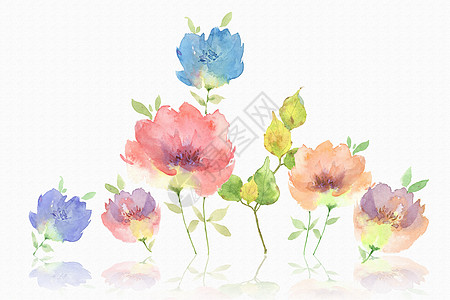 小清新 花卉 水彩花朵背景图片