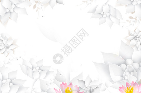 花朵清新白色背景图片