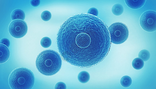 造血干细胞生物医学细胞图示设计图片