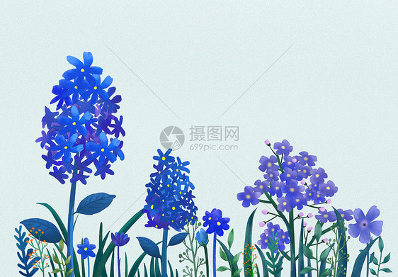 清新花卉插画图片