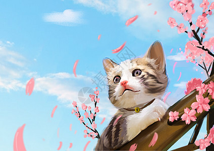 猫和樱花图片