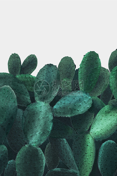 北欧仙人掌图片素材_免费下载_psd图片格式_