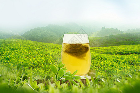 绿茶茶海背景图片