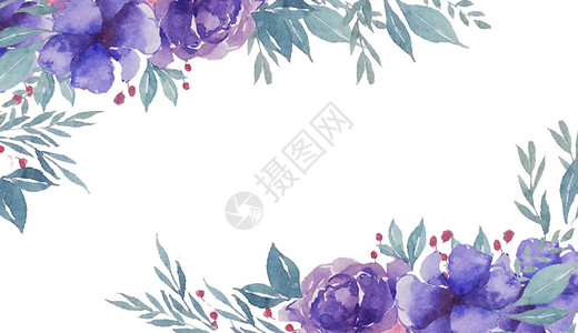 紫色边框花卉插画