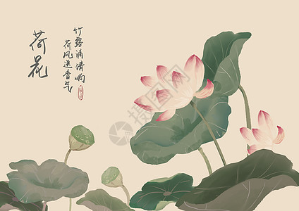 中国风框荷花淡墨插画