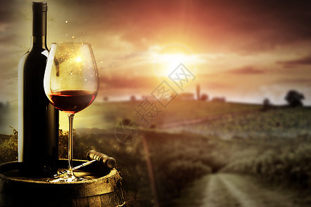 葡萄酒酿制图片