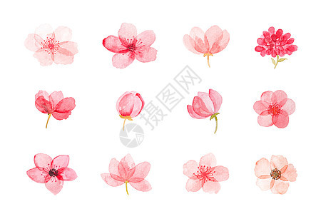 花卉元素背景图片