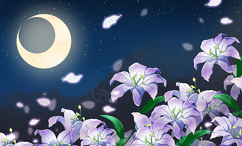 月夜百合背景图片