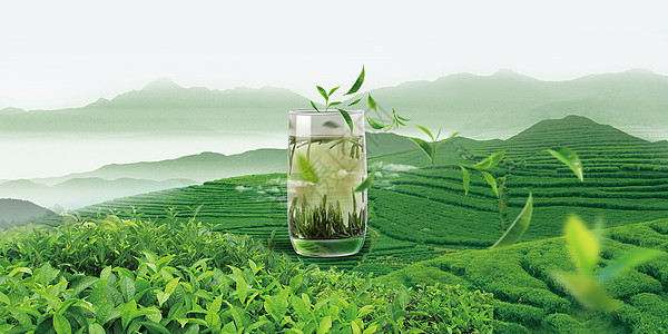 创意绿茶场景背景图片