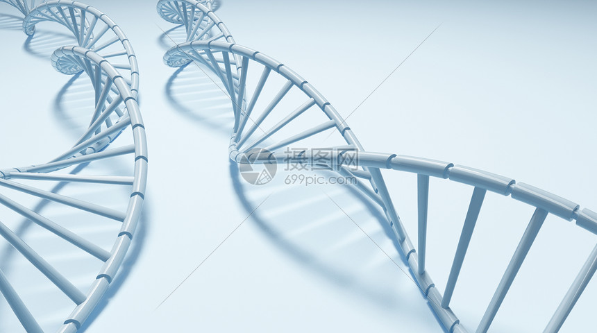 DNA基因螺旋结构图片