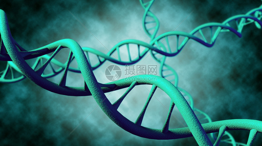 DNA基因螺旋结构图片