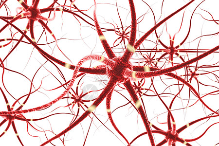 神经末梢神经元细胞设计图片