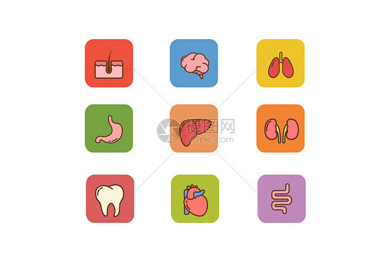 健康器官类图标图片