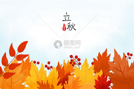 二十四节气立秋枫叶插画背景图图片