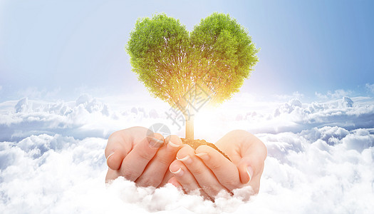 爱护树木保护环境设计图片