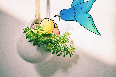 小鸟吃虫子创意摄影插画图片