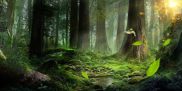 创意森林色彩高清图片素材