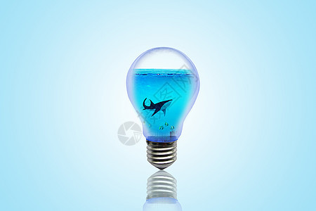 创意海洋灯泡图片