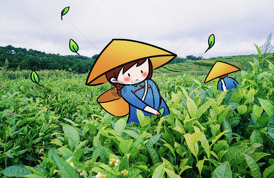 采茶女创意摄影插画