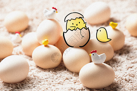 破壳小鸡创意摄影插画鸡蛋高清图片素材