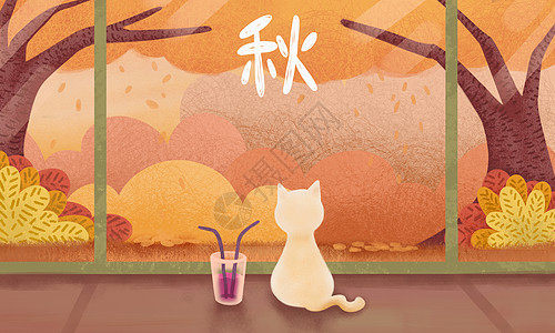 秋猫咪落叶秋分高清图片