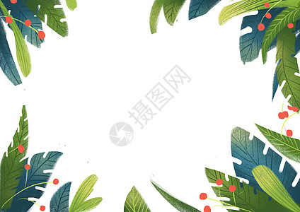 植物留白背景图插画