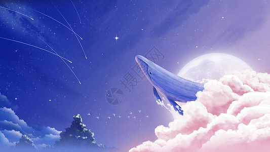 夜空中的星星夜空中的鲸鱼插画