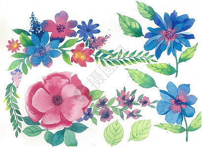水彩花卉植物元素背景图片