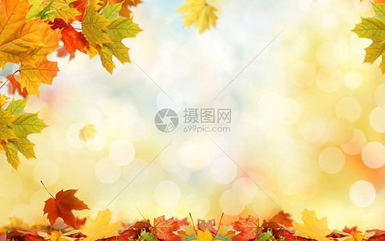 秋季唯美背景图片
