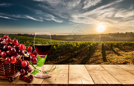 阳光下的葡萄园红酒场景设计图片