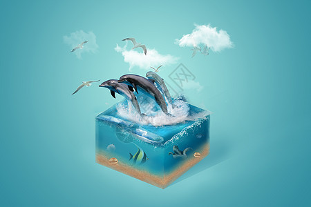 创意海豚场景图片