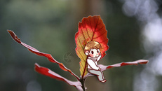 秋叶上的男孩图片