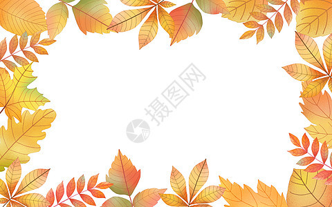 秋季枫叶背景图片